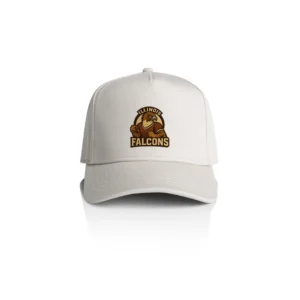 Illinois Falcons - Frame Cap