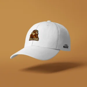 Illinois Falcons - Baseball Cap